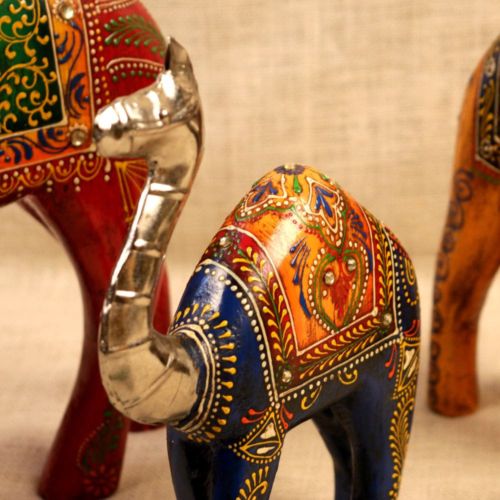 WOODEN CAMEL S/3 42GHI