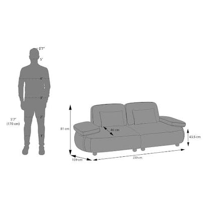 Modern 2-Seater Sofa with Plush Cushioned Seating-Shivora Crafts