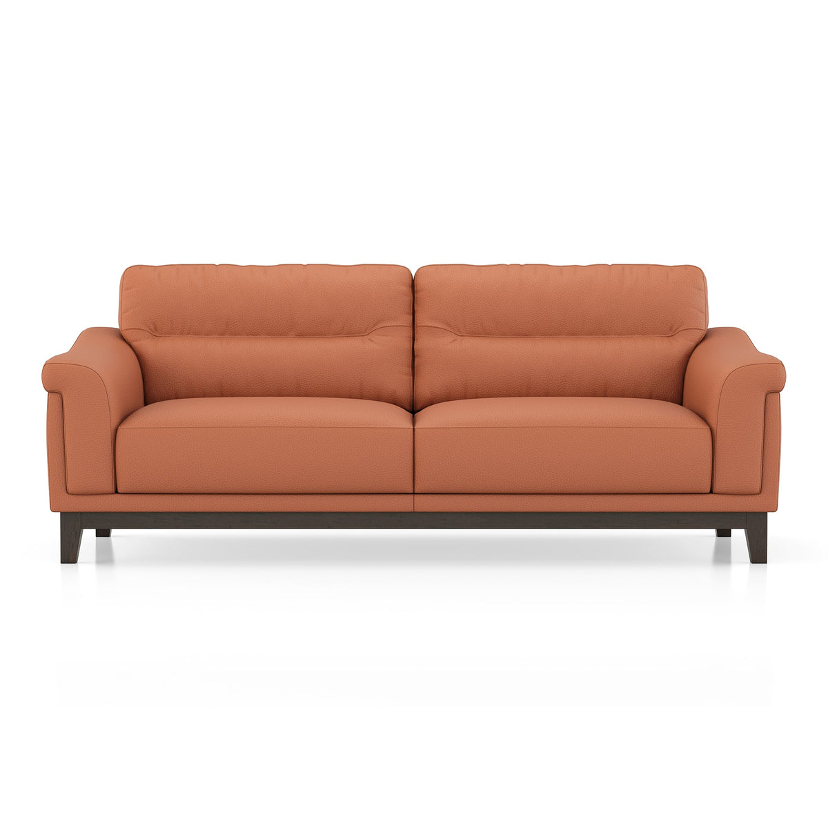 Modern 2-Seater Sofa with Plush Cushioned Backrest-Shivora Crafts