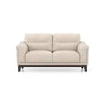 Modern 2-Seater Sofa with Plush Cushioned Backrest-Shivora Crafts